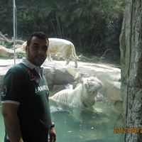 Ali Yari Photo 26