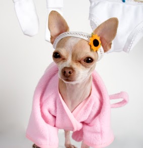 Shawna Lucas Photo 10