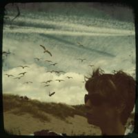 Andrea Matheson Photo 19