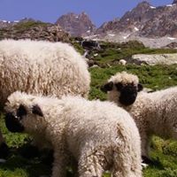 Eileen Mccullough Photo 23