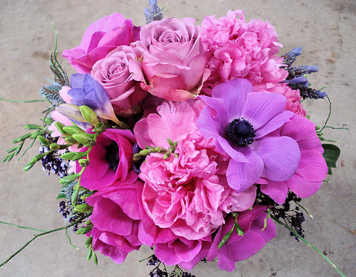 Megan Williams Photo 14