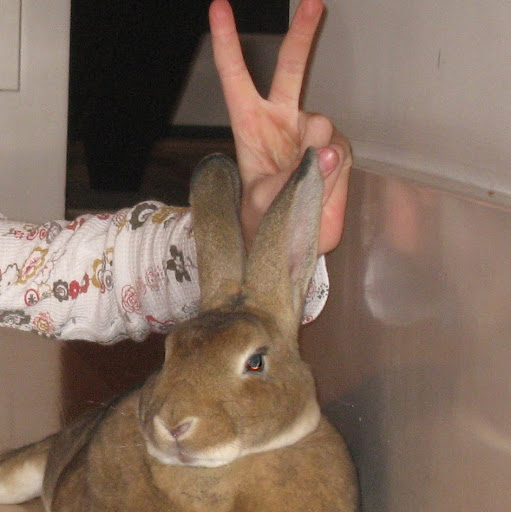 Carolyn Jeffries Photo 13