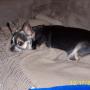 Teri Becker Photo 12