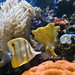 Kelly Tank Photo 9