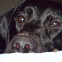 Leigh Maynard Photo 3