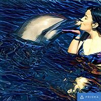 Giselle Torres Photo 31