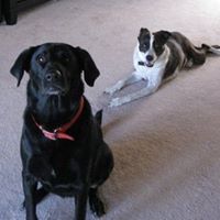 Shawn Newman Photo 30