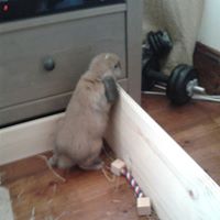 Sarah Wooldridge Photo 20