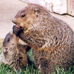 Janet Nilsen Photo 7