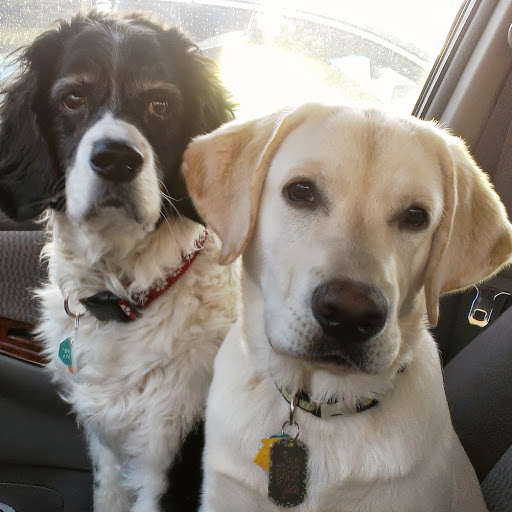 Jacqueline Swain Photo 18