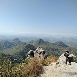 Joyce Allan Photo 10