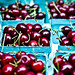 Crystal Farmer Photo 40