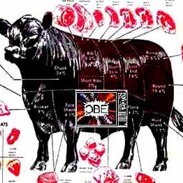 Stephen Kendrick Photo 25 Stephen Kendrick Photo 25