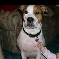 Christine Pyles Photo 6