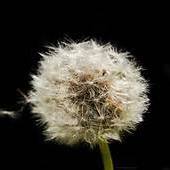 Lori Delaney Photo 30