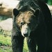 Diane Danielson Photo 42