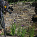 Stephen Hayward Photo 10
