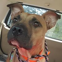 Deborah Testa Photo 17