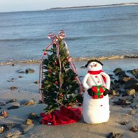 Cindy Hopper Photo 18