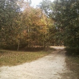 James Frederick Photo 18