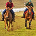 Neal Gordon Photo 35