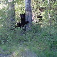 Angela Mackenzie Photo 17