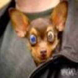 Jason Willard Photo 16