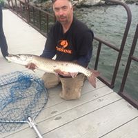 Phillip Wilkinson Photo 26 Phillip Wilkinson Photo 26