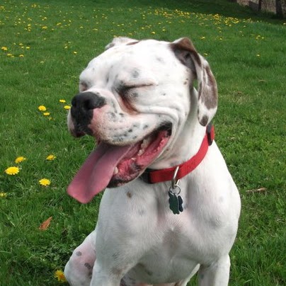 Tracy Hutchinson Photo 32