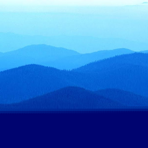 Danny Jenkins Photo 47