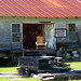 Michelle Wells Photo 22