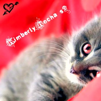 Kimberly Rocha Photo 13