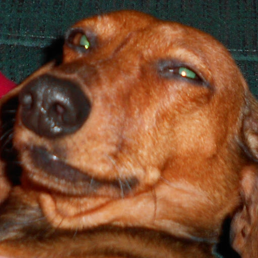 Debbie Oliver Photo 36