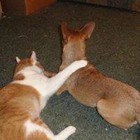 Debra Brewer Photo 38