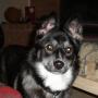 Carol Guidry Photo 2