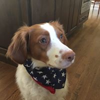 Amy Knowles Photo 17