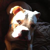 Doris Walter Photo 8
