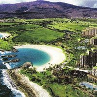 Matthew Levitt Photo 25