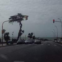 Gary Silva Photo 23 Gary Silva Photo 23