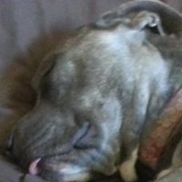 Kenneth Pope Photo 8 Kenneth Pope Photo 8