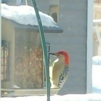 Sue Edwards Photo 12