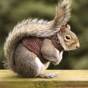 Susan Ashton Photo 23