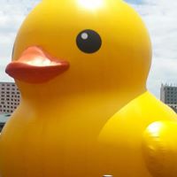 Steve Browning Photo 12