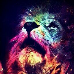 Robin Steiner Photo 32