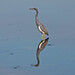 Jenny Jackson Photo 8