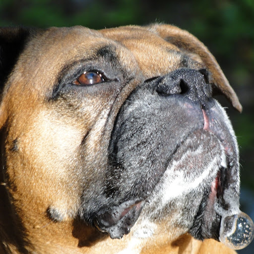 Jason Morin Photo 19