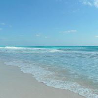 Valerie Talbot Photo 6