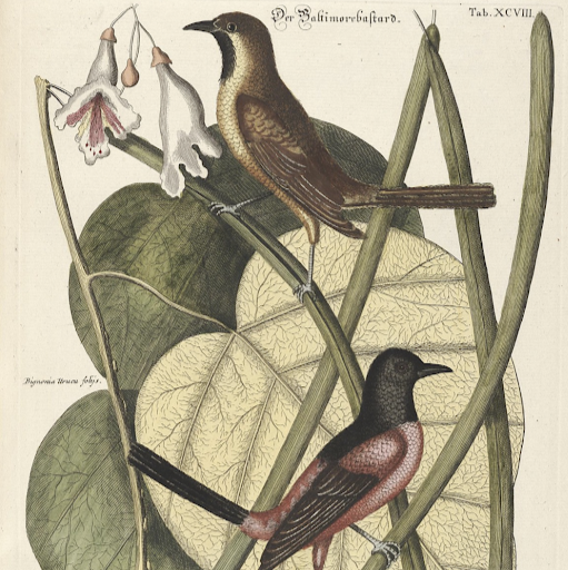 Rachel Frank Photo 17