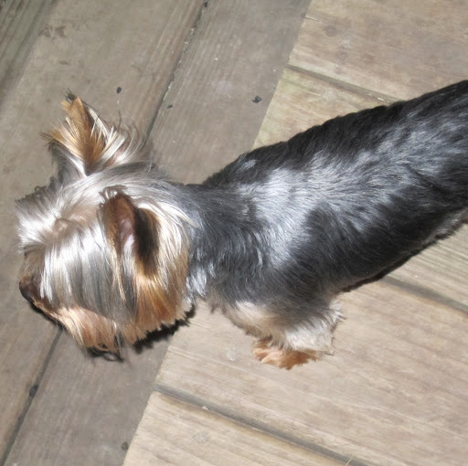 Daniel Smiley Photo 3