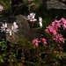 Catherine Pyle Photo 9